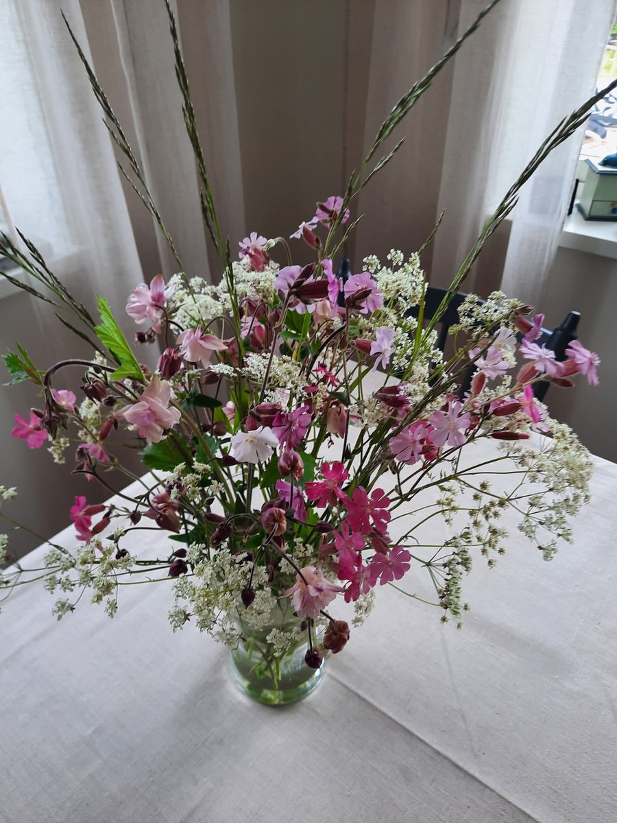 Anna1849's tweet photo. Vackraste midsommarbuketten har min dotter i Jämtland plockat.❤️
Med den, önskar jag er mina följare en fortsatt glad midsommar 🇸🇪💐 https://t.co/Id8Qu6rqpE