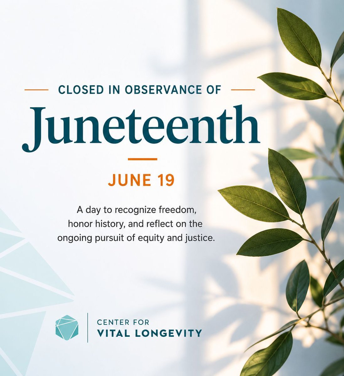 CVLneuro's tweet photo. In observance of Juneteenth, the Center for Vital Longevity will be closed on June 19.

Today, we pause to reflect on freedom, history, and the continued pursuit of equity and justice. 

#Juneteenth #CVL #UTDallas https://t.co/F1PlUwUPd2