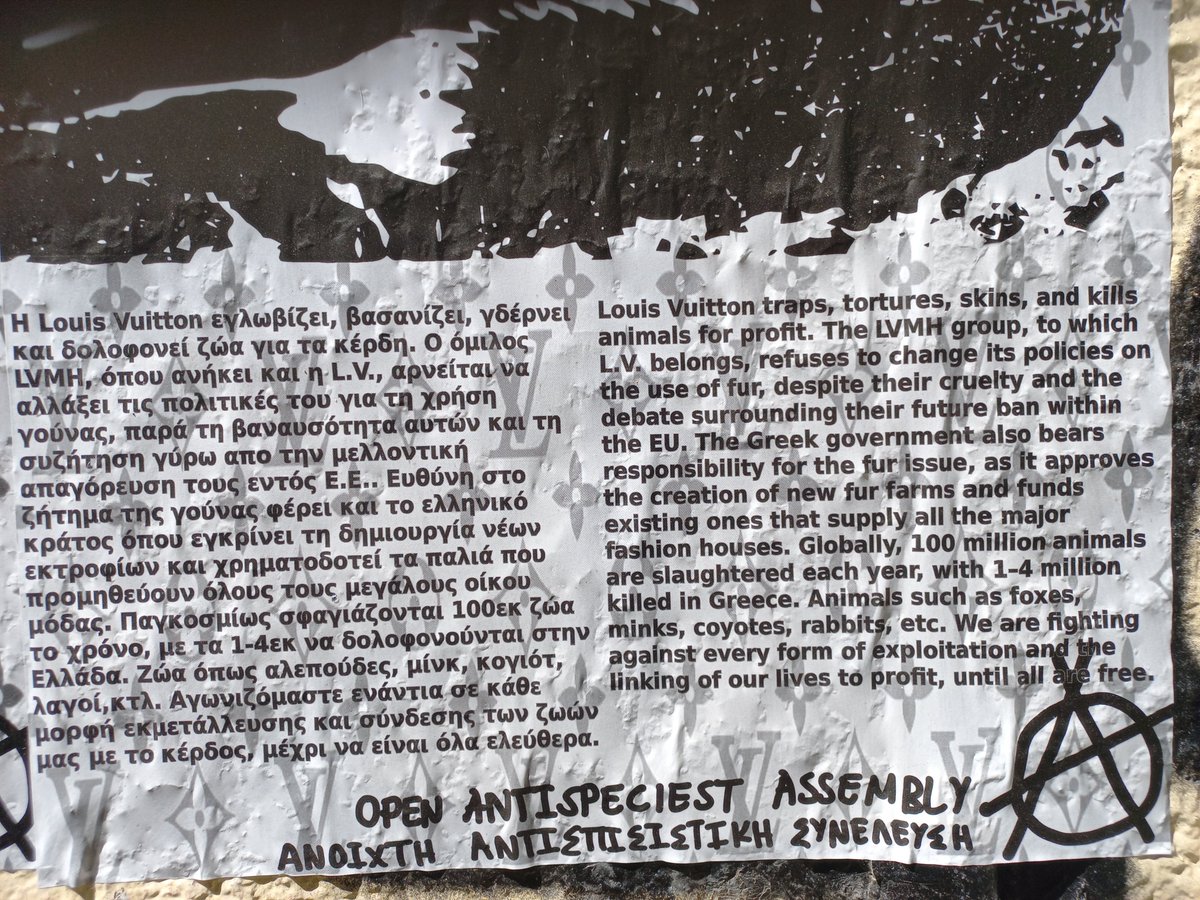 AlimMiqele's tweet photo. Συγκέντρωση ενάντια στη βιομηχανία γούνας 
Παρασκευή 19/6, 6μ.μ. Βουκουρεστίου 19 

#συνταγμα #αθήνα 
#athens #antireport #μμε https://t.co/TPa4jWWCGT