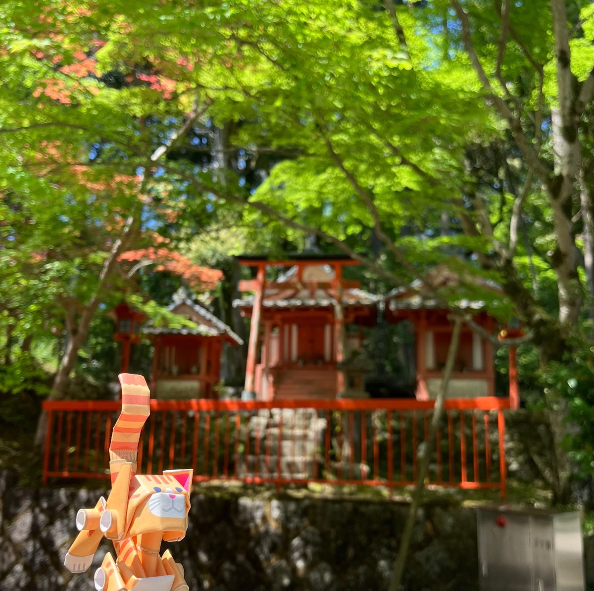PIPEROID_jp's tweet photo. 海住山寺に来ました。
新緑がきれいで、木漏れ日の中をのんびりお散歩。
静かで優しい空気に、ボクもほっとひと息。 
また遊びに来たいな。

#海住山寺 #京都  #新緑 #お寺巡り #猫フィギュア #旅の記録 #散策 #癒しの時間 
#パイプロイド #PIPEROID #フィギュア #figure #Papercraft https://t.co/LumGQhRX7S