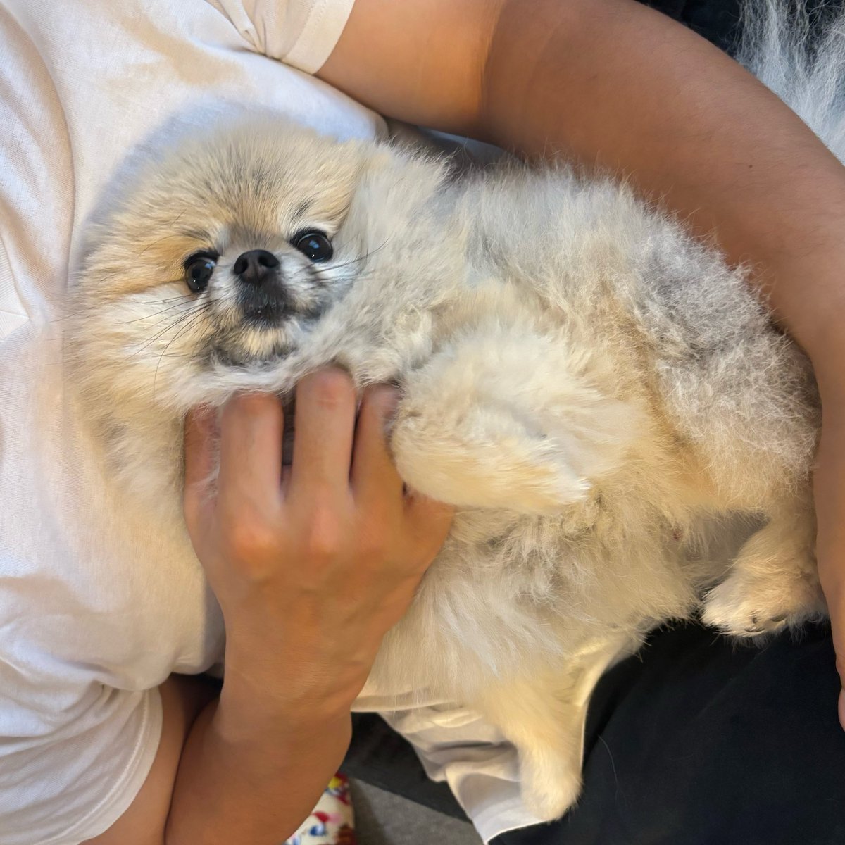 アザちゃん babyあざちゃん🦭⭐️