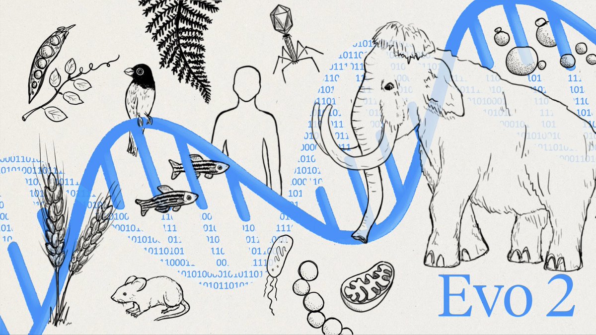 YannYORO's tweet photo. 🧬 L’IA vient d’apprendre le langage de toute la Vie sur Terre.

Evo 2, publié en mars 2026 dans Nature, a été entraîné sur 9 billions de paires de bases d’ADN : bactéries, plantes, animaux, humains… et quelques espèces éteintes.

Résultat ?
Il prédit les effets des mutations, génère de nouvelles séquences génétiques cohérentes à l’échelle du génome, et accélère la biologie de plusieurs siècles.

Preuve de concept poétique : l’équipe a codé des messages en Morse dans l’épigénome (« EVO2 » dans l’ADN). L’IA ne se contente plus de lire la nature… elle commence à l’écrire. 

Open-source. Révolution en marche.

#Evo2 #IA #Biologie #Nature #Science

https://t.co/APCKkSxA4r
