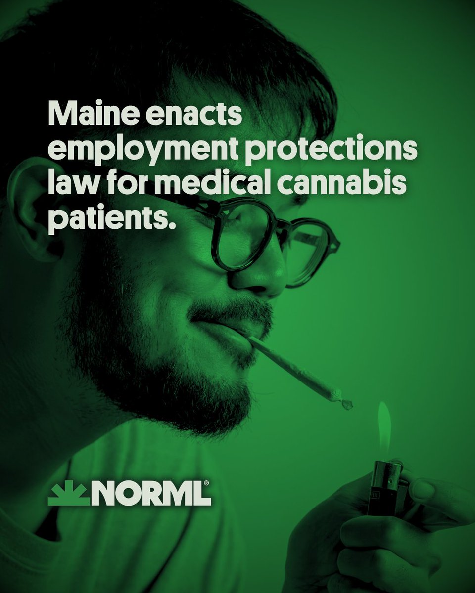 NORML tweet picture