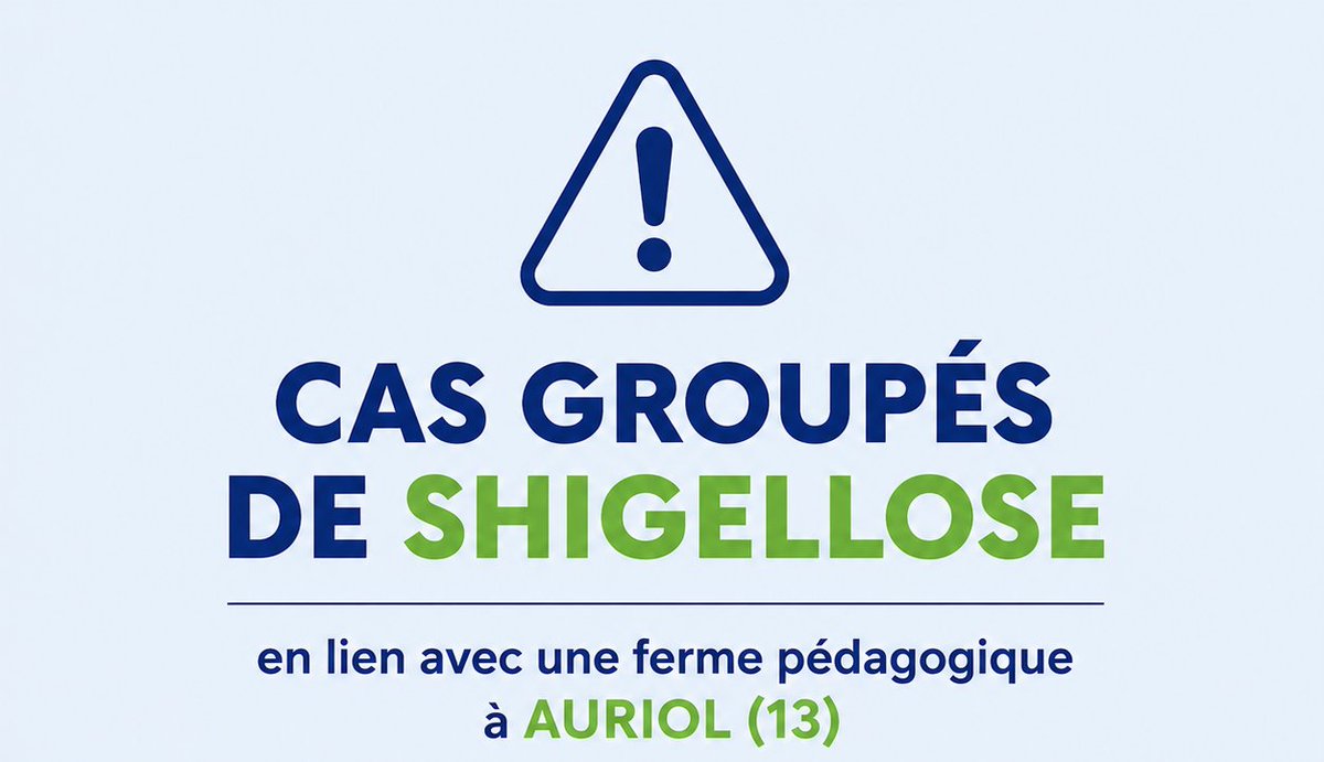 ARSPaca's tweet photo. ⚠️ Cas groupés de #shigellose en lien avec une ferme pédagogique à Auriol (13).
L’ARS Paca et @SantePubliqueFr ont engagé des investigations et mis en œuvre des mesures immédiates pour protéger la population
En savoir 👉 https://t.co/K5L02wq8WR
@Prefet13 @yannbubien https://t.co/jO5tiFSoKf
