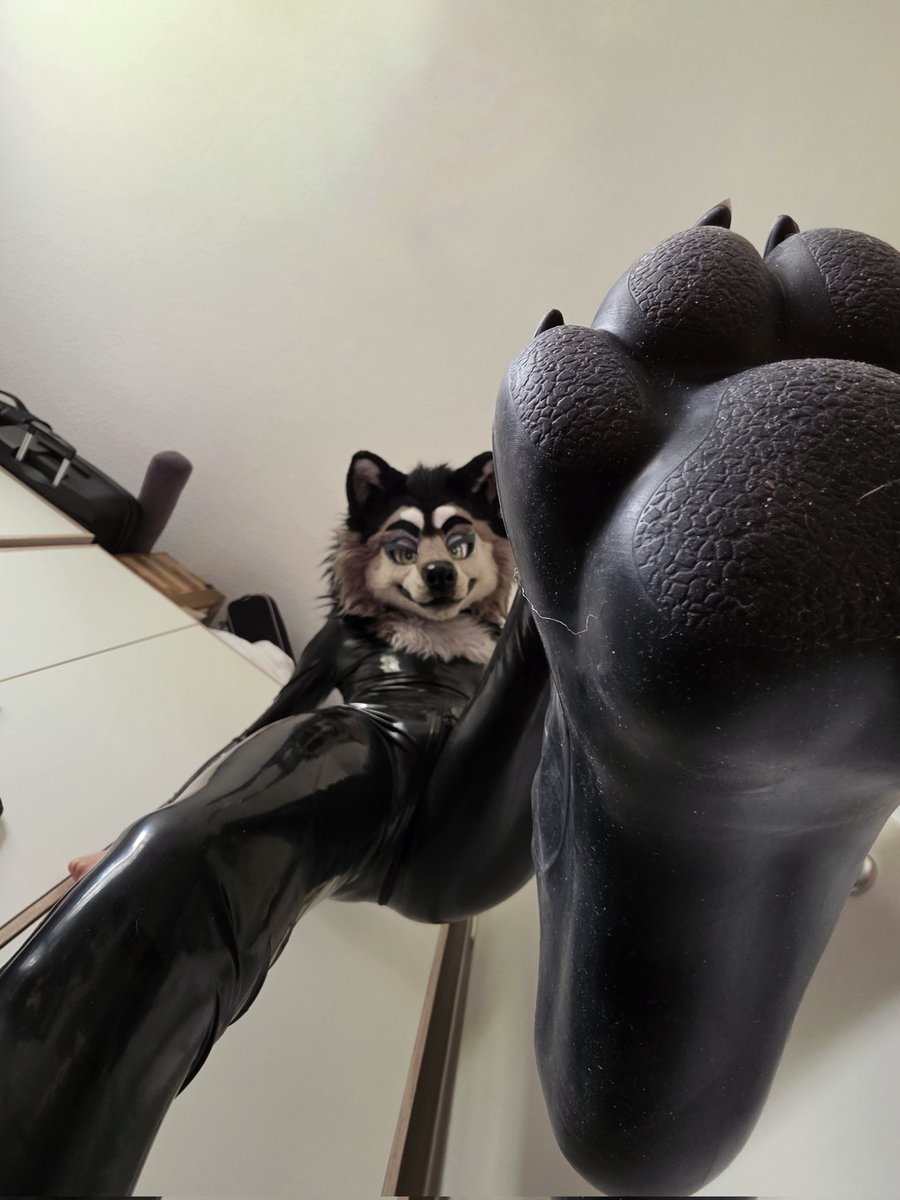 Tsumef4n's tweet photo. A small step for a big wolf https://t.co/3yPaGyQRj8