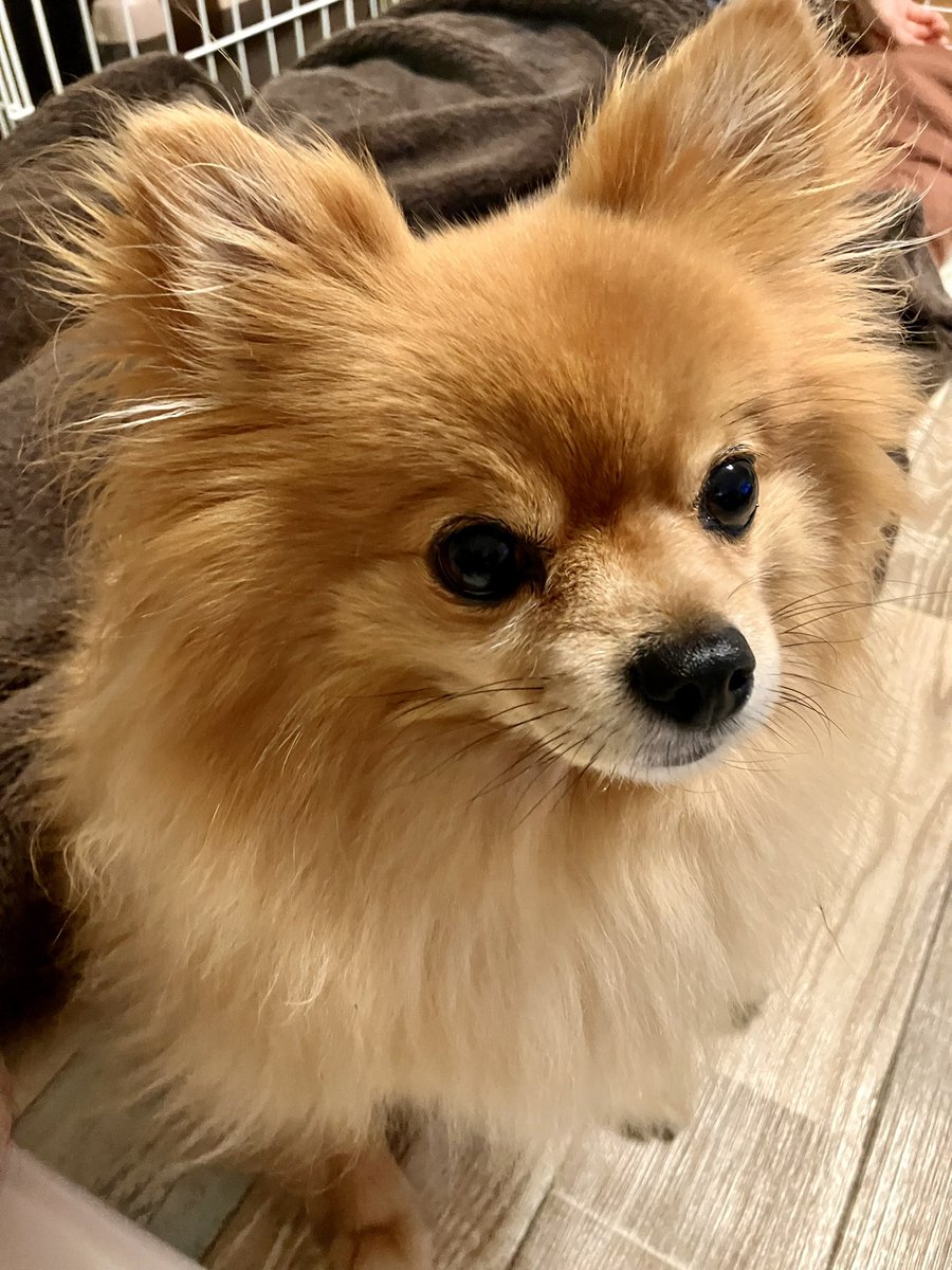 teru_munta's tweet photo. ただいまです✨
やっと1週間が終わりました💦

今夜はALLセブン食材で焼きそばであります😆
いつの間にかザ・ブリューが糖質オフから糖質ゼロに変わっててビックリです😳‼️
ありがたや〜🙏

明日はお休みなので早朝七里ヶ浜お散歩に行こうかなぁ…と思っています😊
カノンさん、いかがでしょうか？ https://t.co/eQiBCjlumB