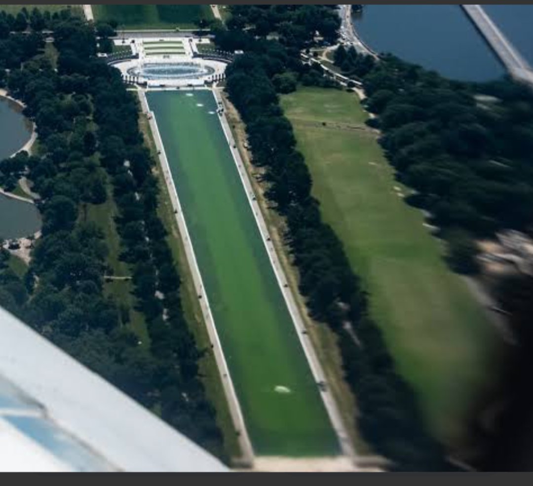 CanadianDem's tweet photo. MAGA - MAKE ALGAE GREAT AGAIN!
🇺🇸🇺🇸🤡🤡 https://t.co/4TiI2k8Cyx