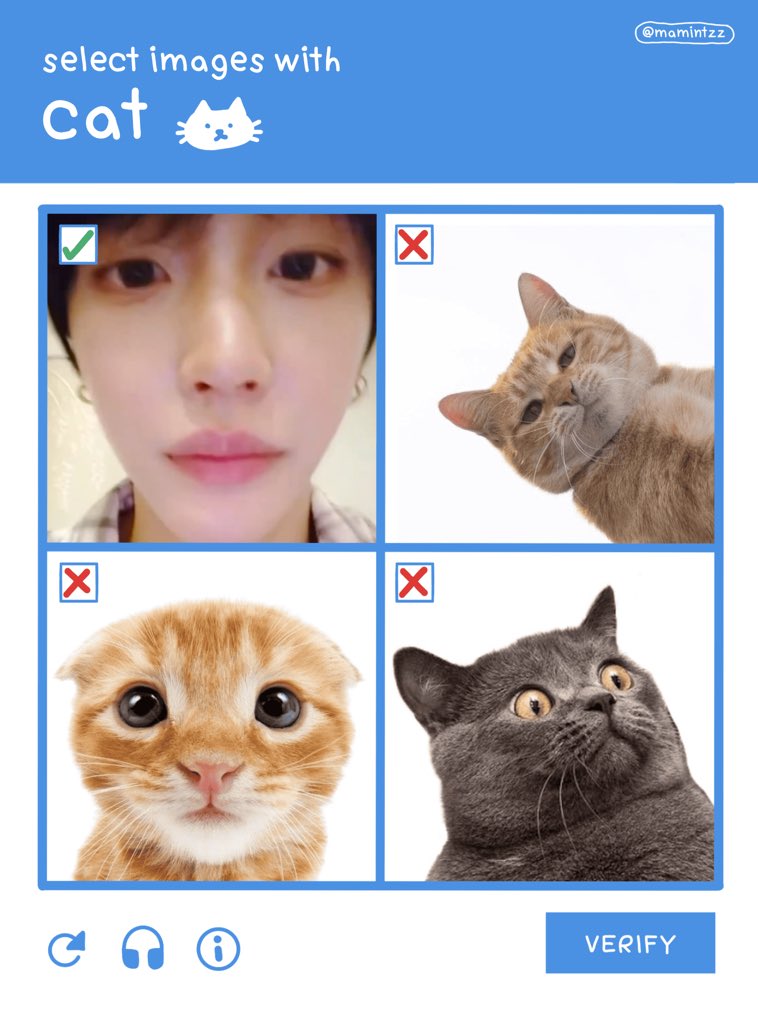 lilkitchuuq's tweet photo. 🐶♡🐱 https://t.co/DLGBtMiv3w