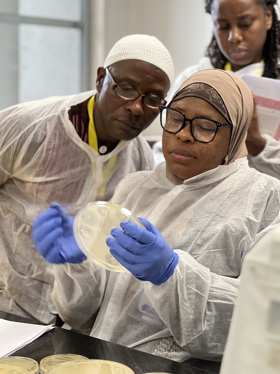 NoguchiBact's tweet photo. Final bacteriology laboratory session of the JICA Third Country training. 🔬
This morning, participants worked through antimicrobial susceptibility testing (AST) result interpretation using standard guidelines and reporting approaches.

#AMR #AST #NoguchiBacteriology https://t.co/zXmBUndrMY