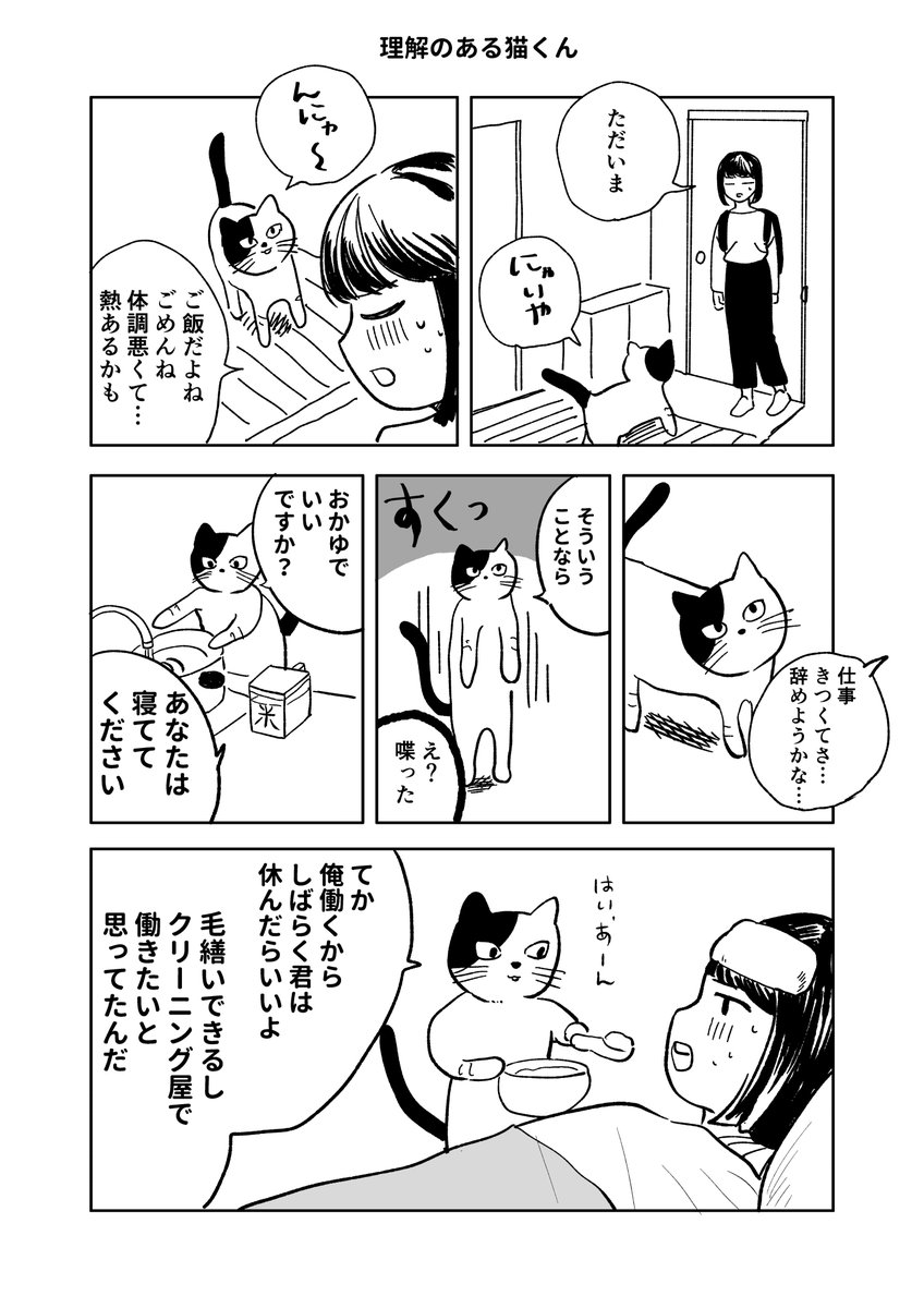 seebaayou's tweet photo. 理解のある猫くん https://t.co/FYTVssryrN