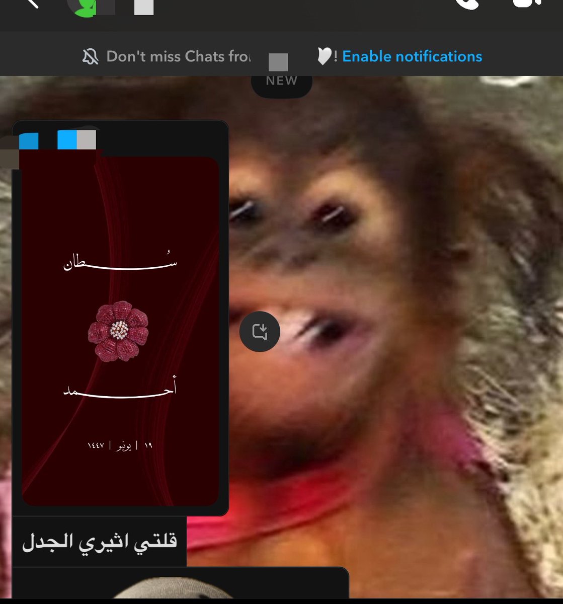 رسيل tweet media