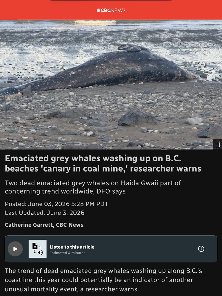 ChristineGuent8's tweet photo. This is happening in British Columbia too. #ClimateChangeIsReal 😢 https://t.co/trmcuF5B66