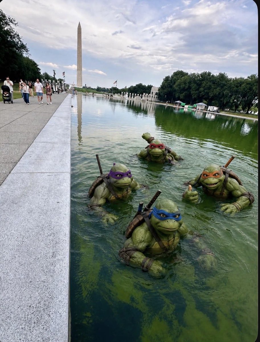 Kelpaw2's tweet photo. @TheRickWilson https://t.co/eoWgeeOh2y