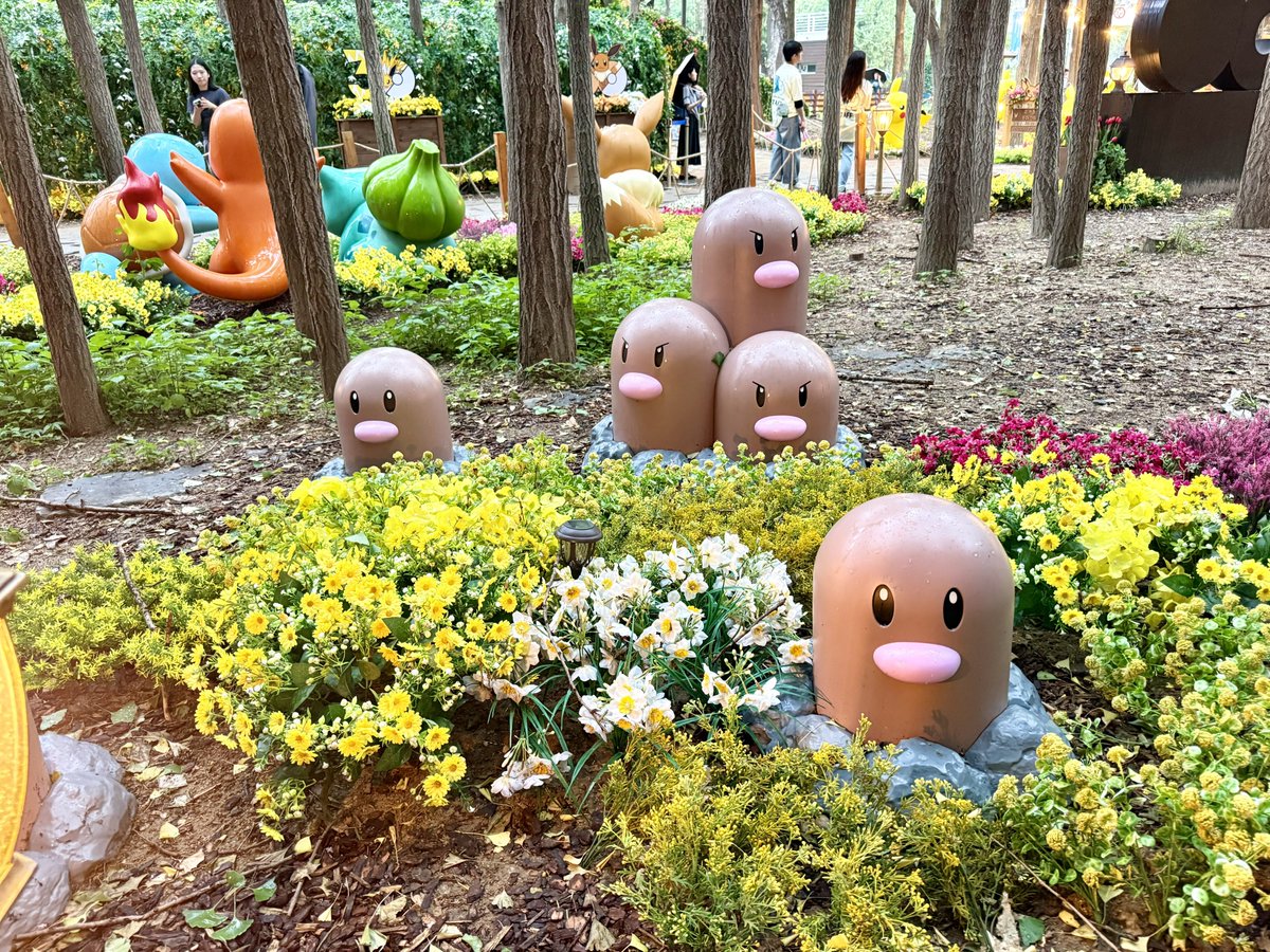 mbt81h's tweet photo. ソウルの森🌳
ポケモン・シークレット・フォレスト
すべてが本当に本当にかわいかった https://t.co/PndiOPwVWZ