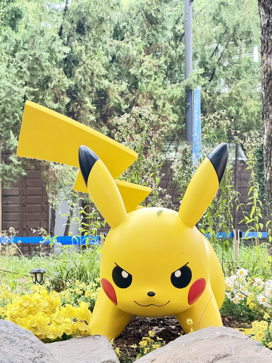 mbt81h's tweet photo. ソウルの森🌳
ポケモン・シークレット・フォレスト
すべてが本当に本当にかわいかった https://t.co/PndiOPwVWZ