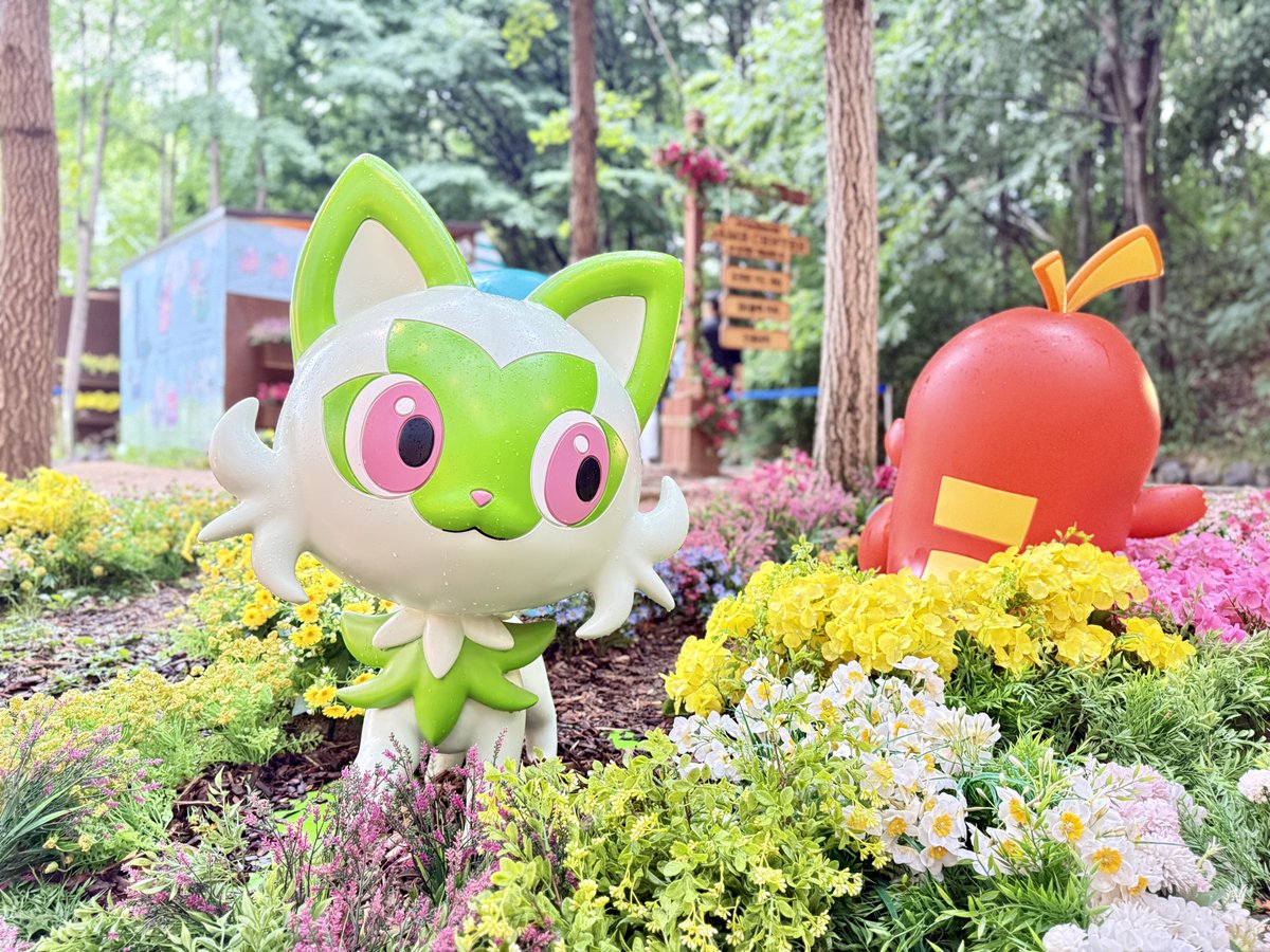 mbt81h's tweet photo. ソウルの森🌳
ポケモン・シークレット・フォレスト
すべてが本当に本当にかわいかった https://t.co/PndiOPwVWZ