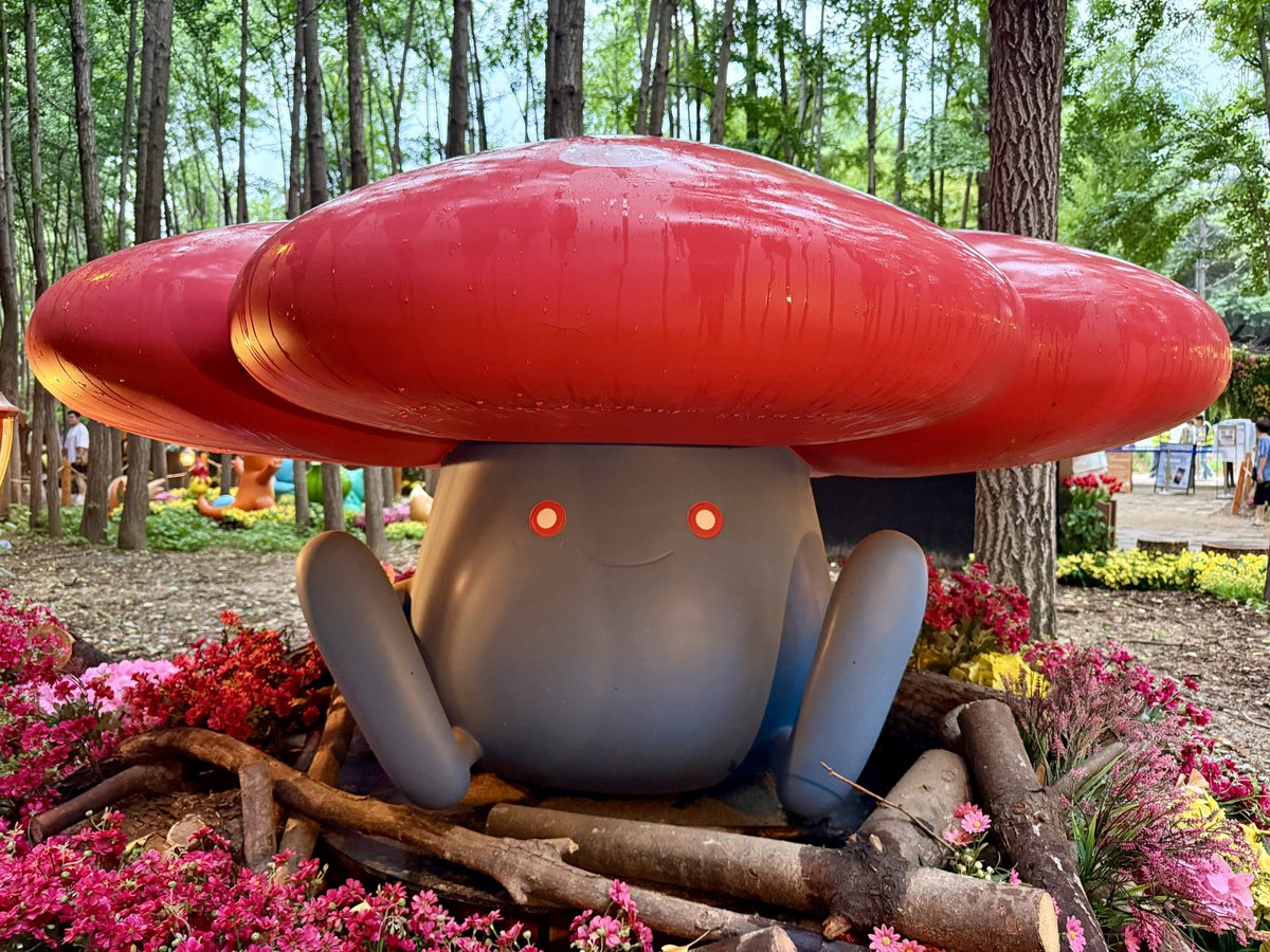 mbt81h's tweet photo. ソウルの森🌳
ポケモン・シークレット・フォレスト
すべてが本当に本当にかわいかった https://t.co/PndiOPwVWZ
