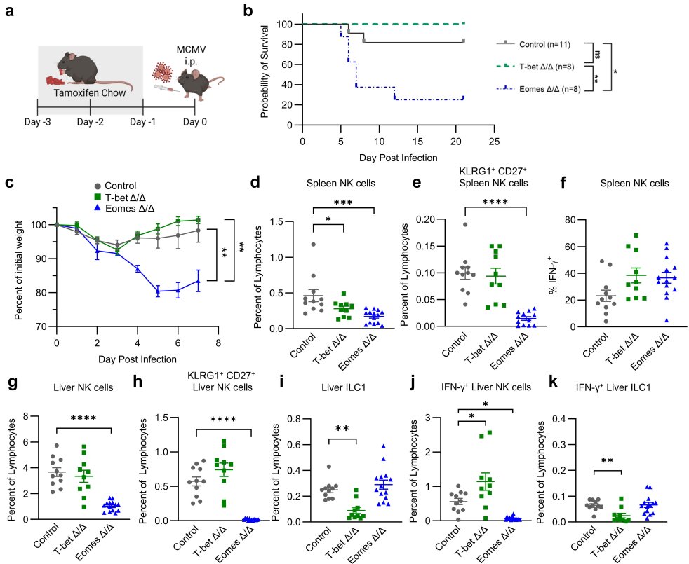 LabWaggoner's tweet photo. Tissue-specific and non-redundant roles for Tbet and Eomes in NKp46+ ILCs homeostasis and response to viral infection @NatureComms @PamelaWongPhD
@LabFehniger @WashU @WUSTLmed @SitemanCenter
https://t.co/XKediBnt3Y https://t.co/dbZO0Pkkp4