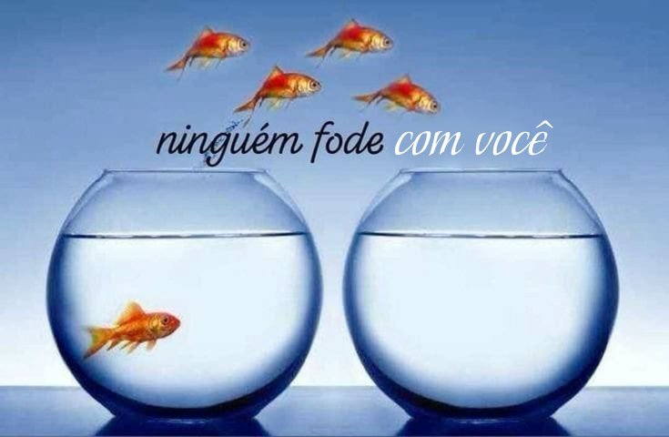 rickkzitu's tweet photo. alg avisa https://t.co/Pr3OT6p6pl