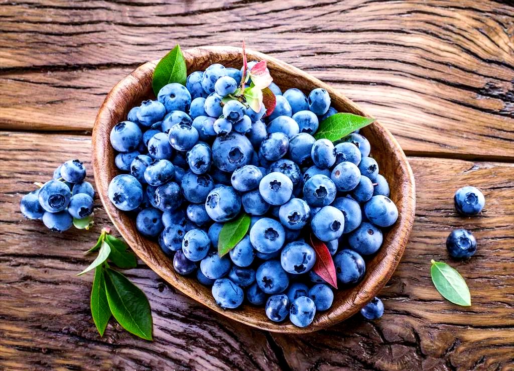EwolfLo's tweet photo. Just tried the season’s first wild blueberries! Burst with sweetness, plump texture, no bitter aftertaste—perfect for morning oatmeal. A must-pick this month https://t.co/vGfJtGcdFR