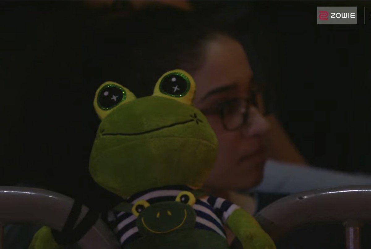 edeninhooo's tweet photo. the chexx girls go on the stream = boooooooo

the stupid frog spirit coach straight after = eruption of cheers https://t.co/wXkSGEYemo