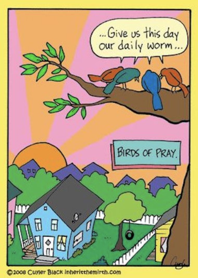 cselston's tweet photo. #Humor https://t.co/7tBEsJOLwH
