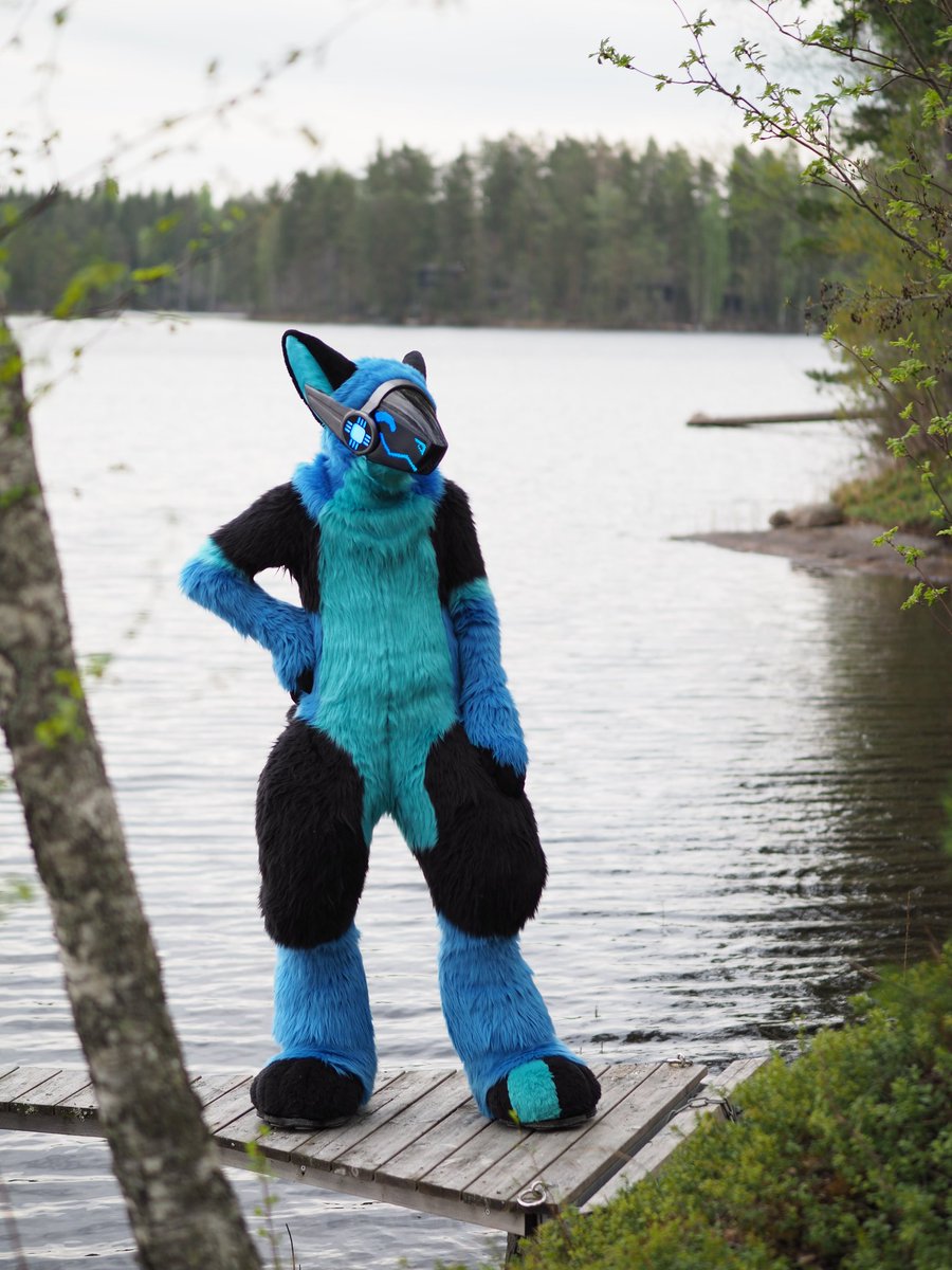 BittiProtogen's tweet photo. Happy Juhannus if you're Finnish, happy midsommar if you're Swedish, and happy #fursuitfriday to the rest of you!

📸MikitaMeow

#bittiprotogen #protogen #furry #fursuiter https://t.co/8hZOg52Amt