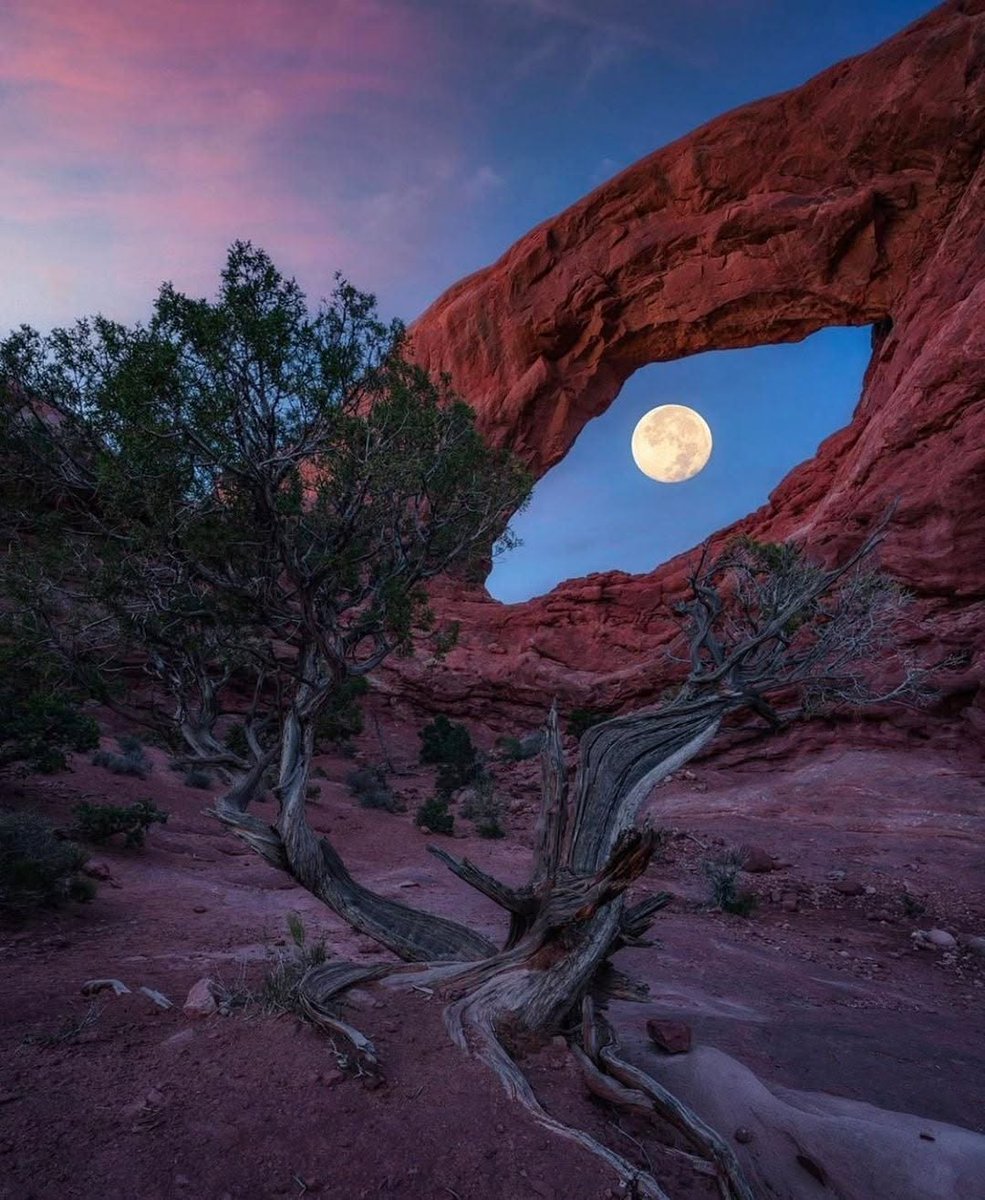 astrooalert's tweet photo. Eye of the dragon
Arches National Park, Utah
Photography: Evan Gerstung https://t.co/ifaxc1ywoF