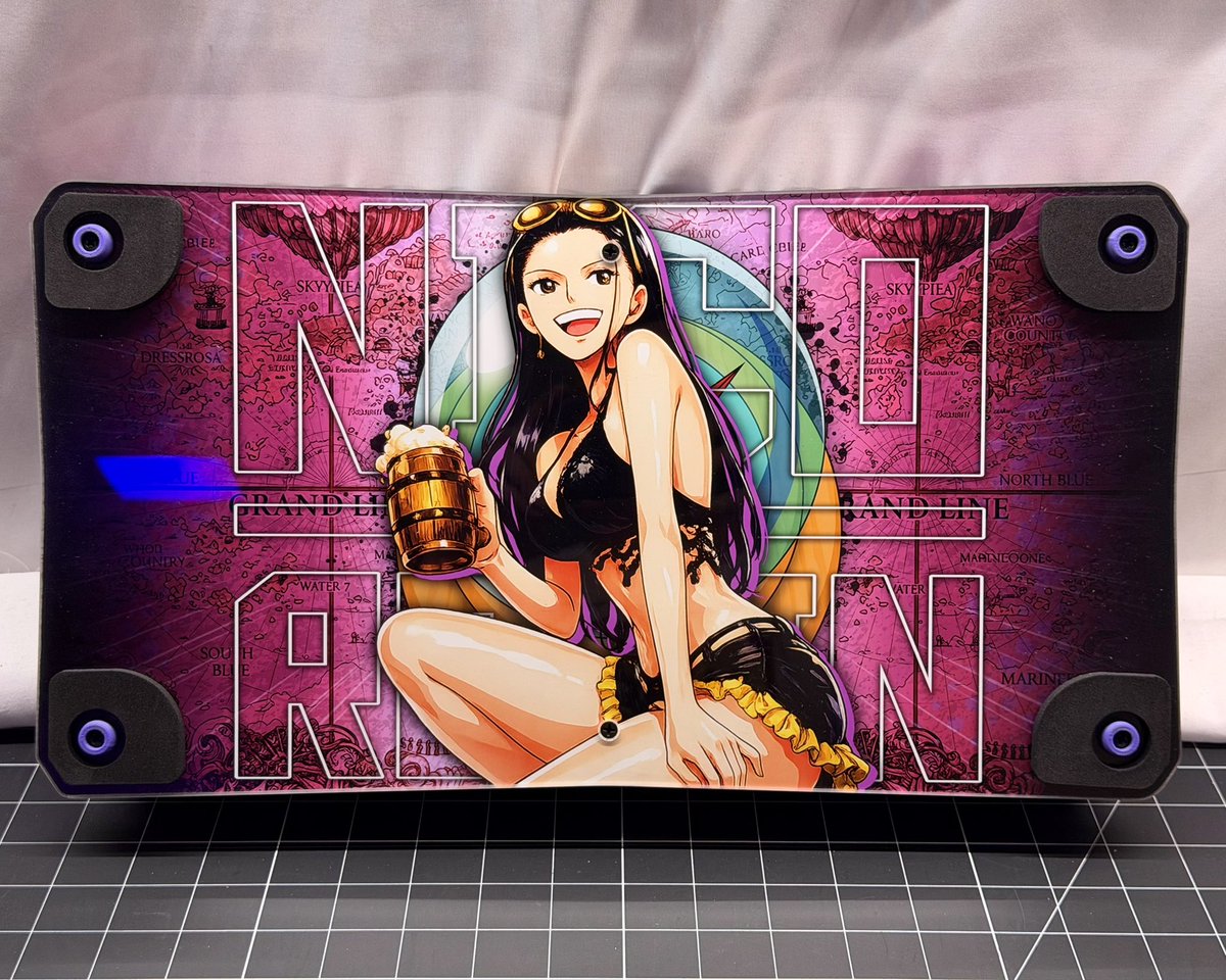 ONEPIECE〜 Nico Robin custom 4TW enclosure for the homie BLEUS