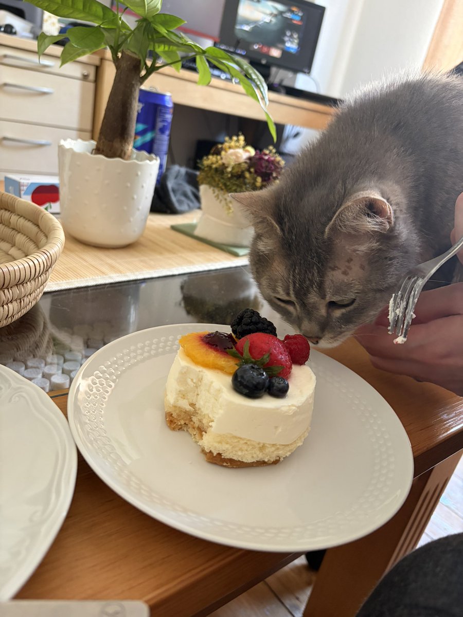 unininyuri's tweet photo. ケーキひとくちください！ https://t.co/aLMCqR5bkl