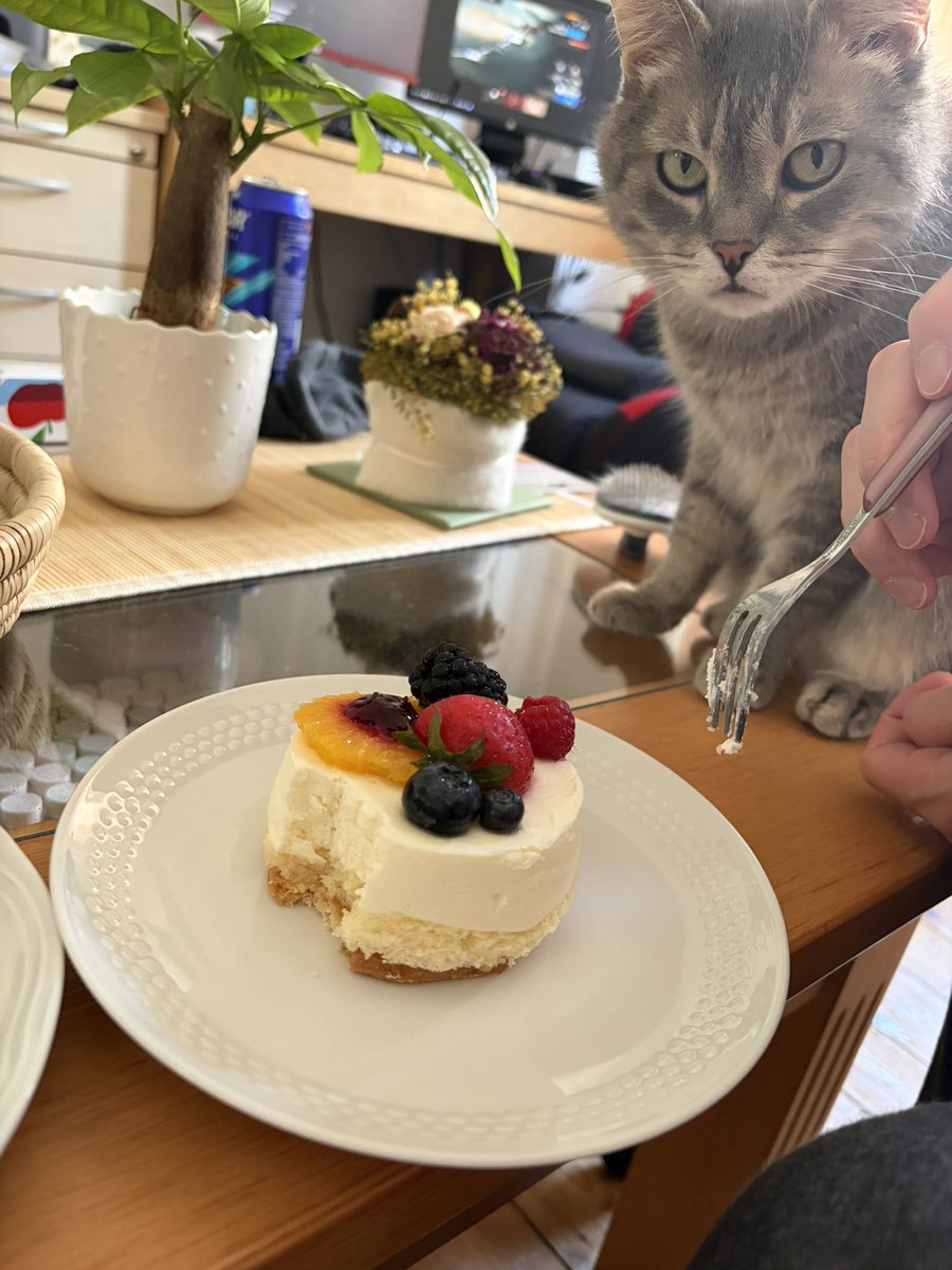 unininyuri's tweet photo. ケーキひとくちください！ https://t.co/aLMCqR5bkl