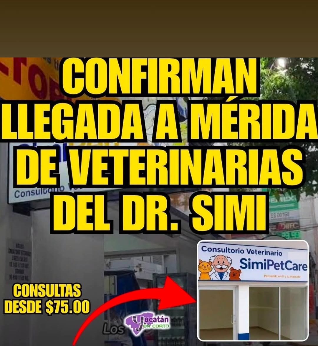 CarlosAmpuero's tweet photo. Y a Chile cuando llegara #SimiPet 🥹🥹🥹 #DoctorSimi https://t.co/OrDZklMu79