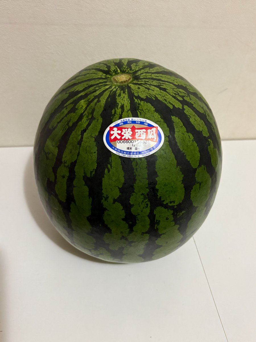 felisyoko's tweet photo. JA全農鳥取さんから、スイカが届いた🍉
「あれ、スイカと梨のセットを注文したのにスイカだけ？」と不思議がる相方🙄
あのな、梨の旬は秋やろ。スイカと一緒に来るかー��ーー！
相変わらず、能天気な相方でした🏵️ https://t.co/Ck8XWZClZj