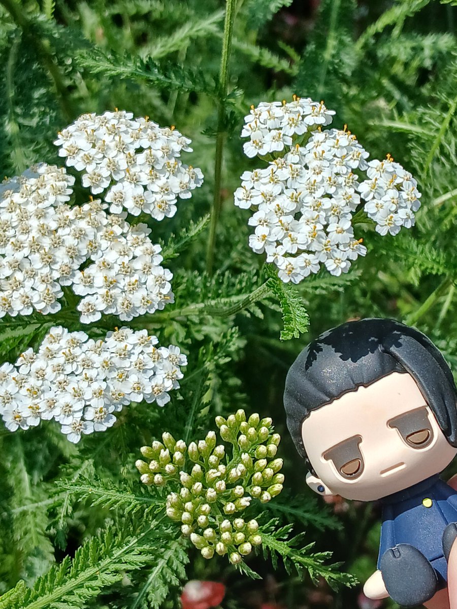 http77777's tweet photo. 脳ミソがパーンしてるので文章打てない https://t.co/zec4dF3Ah7