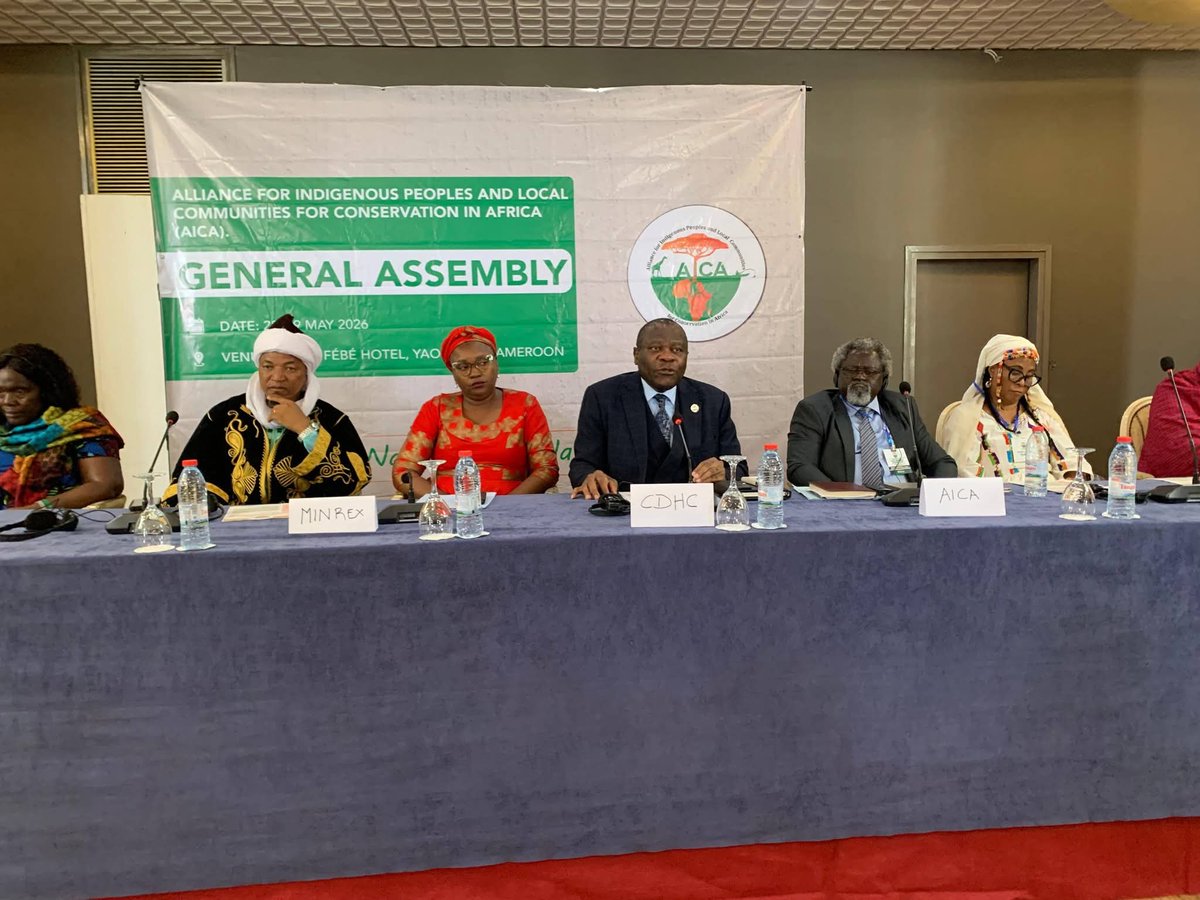 chrc_cdhc's tweet photo. LE PRÉSIDENT DU RINADH À L'OUVERTURE DE L'ASSEMBLÉE GÉNÉRALE DE L'AICA 2026
Lire... https://t.co/kvqY4KeZMj

#CHRC 
#CDHC
#1523 https://t.co/jwRqnuTg9E