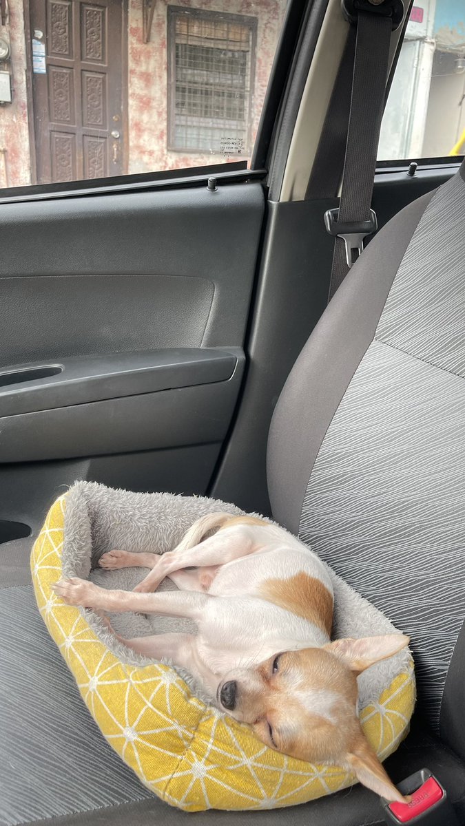 DaisyKoitori's tweet photo. Sarap tulog ng passenger ko ❤️ https://t.co/BhkfJLh4K7