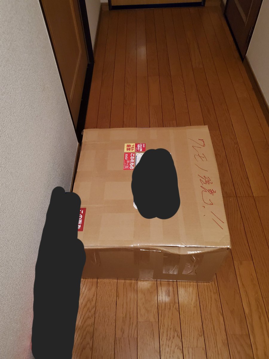 sorokage's tweet photo. 1年探してた兜が販売されて即決。
嫁と子供がいない間に受け取るはずが、仕事から帰ったら玄関で詰んだ。

​嫁「また買ったん？」

​...俺は死んだ。 https://t.co/0Nw0FAx626