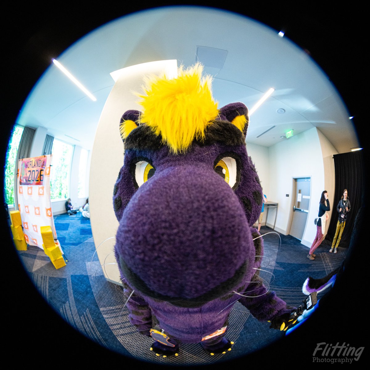 FinnThePanther tweet picture