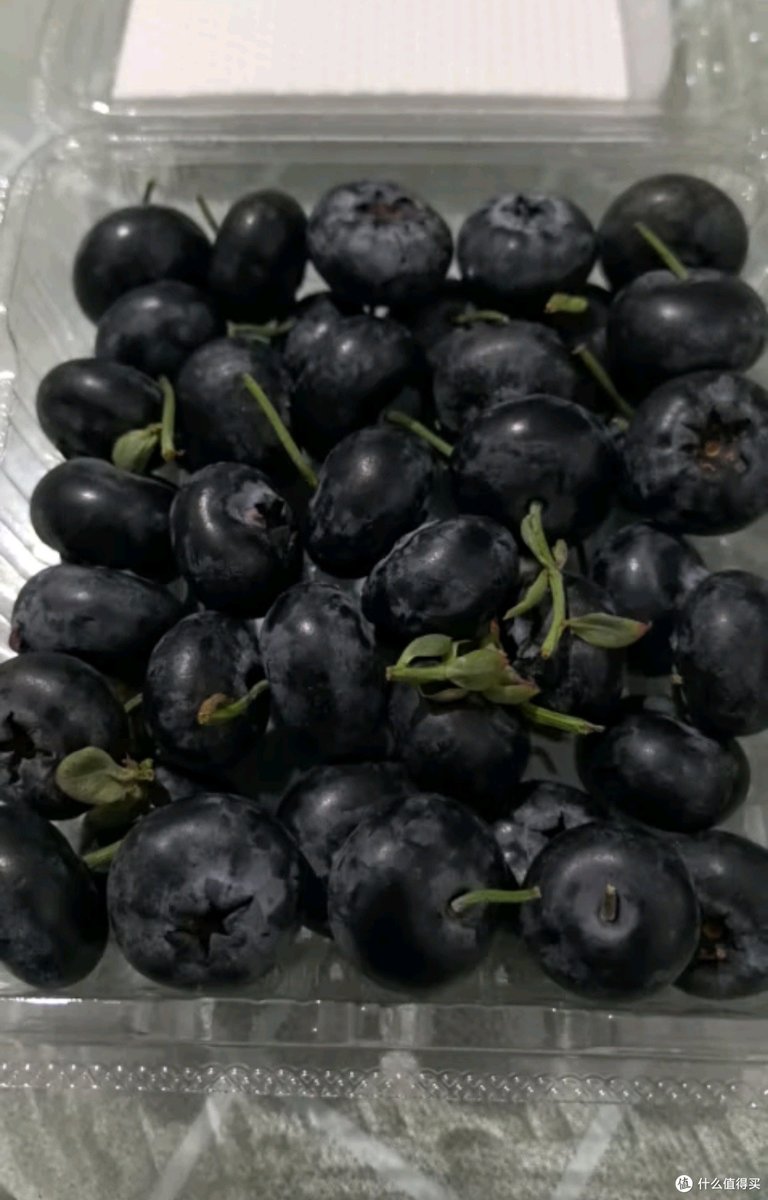 Anara51711626's tweet photo. Just tried the organic wild blueberries from local farms! Super juicy, naturally sweet, and packed with that rich antioxidant kick—perfect for yogurt or snacking. A must-add to your grocery list! https://t.co/FVvpz6yi7g