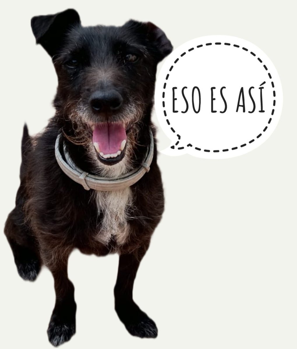 DiezdeLeon's tweet photo. @FranGMatute @elcultural @diariosevilla https://t.co/sKc8UF10R2