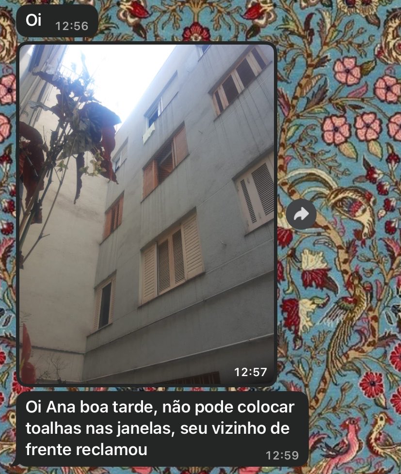 odiocavalar's tweet photo. reclamou de que exatamente? visualmente desagradavel minha toalha secar na minha janela? https://t.co/EZYDhPl3Mz