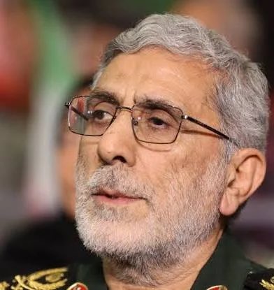 شیده tweet media