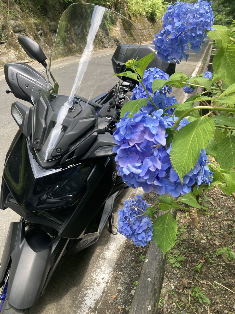 YamaSanMotovlog's tweet photo. あじさい街道にて

「あじさい街道」って言うくらいだから、紫陽花が咲き誇ってると期待していたんだけど…
全体的に小ぶりなのがパラパラって感じで…
まだ早過ぎたみたい😅

#XMAX
#ツーリング
#紫陽花
#あじさい街道
#あじさい公園
#越生
#あじさい祭 https://t.co/5cTS8d2ycD