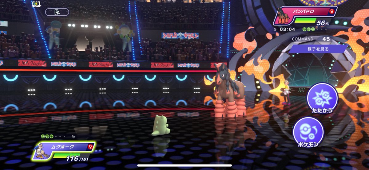 koh_pkmn's tweet photo. バンバド���激重ptVS急所ケアしないねむるバンバドロの沼バトル https://t.co/VOnsTpHZlp