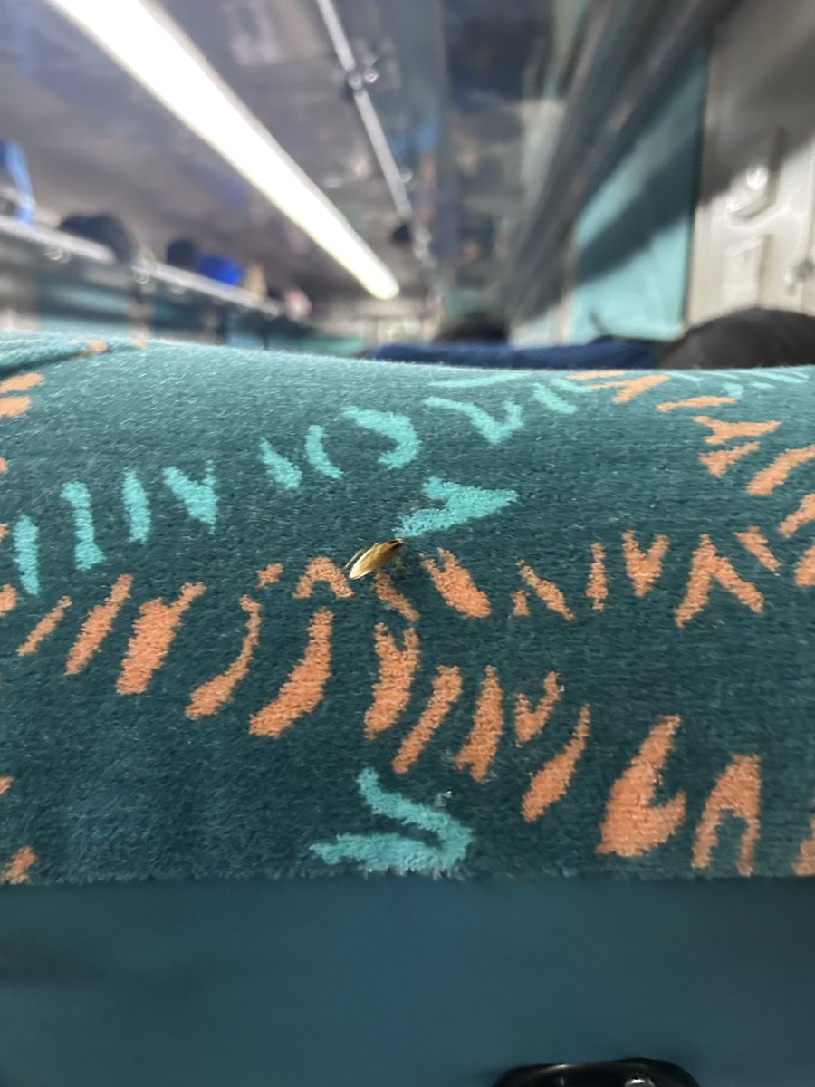 Rinku__Jaat's tweet photo. Train no-12921, PNR-8148975785, @RailMinIndia @IRCTCofficial Extremely disappointed with the condition of this train. Old and poorly maintained coaches, cockroaches crawling all over the seats, no basin, filthy toilets, and overall unhygienic conditions. Such a waste of money. https://t.co/dxp27EmZOx