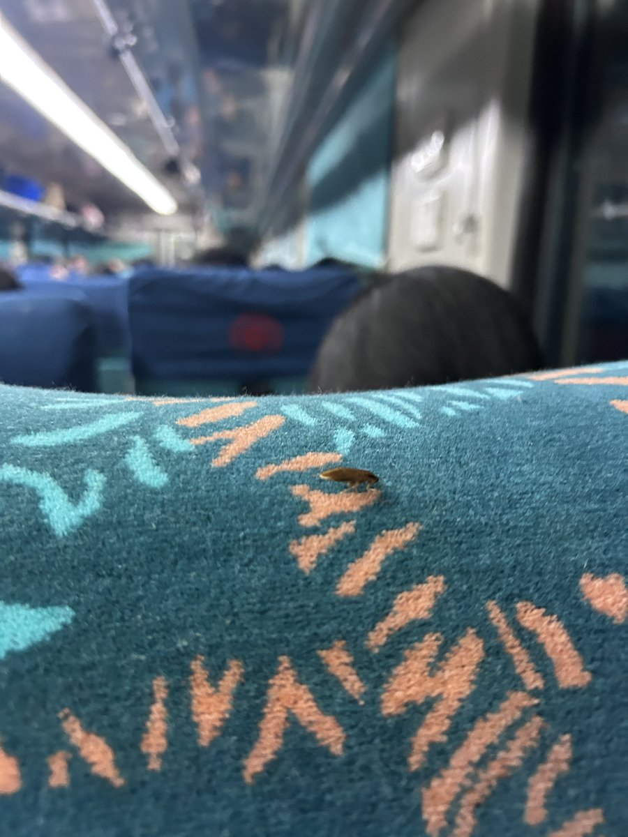 Rinku__Jaat's tweet photo. Train no-12921, PNR-8148975785, @RailMinIndia @IRCTCofficial Extremely disappointed with the condition of this train. Old and poorly maintained coaches, cockroaches crawling all over the seats, no basin, filthy toilets, and overall unhygienic conditions. Such a waste of money. https://t.co/dxp27EmZOx