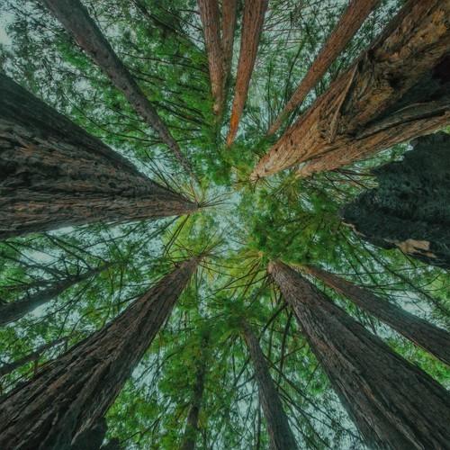 BlueSuedeHaze's tweet photo. Listening to belong by slenderbodies on @PandoraMusic
https://t.co/KFNAH0SI6I https://t.co/86FwkTY5BS