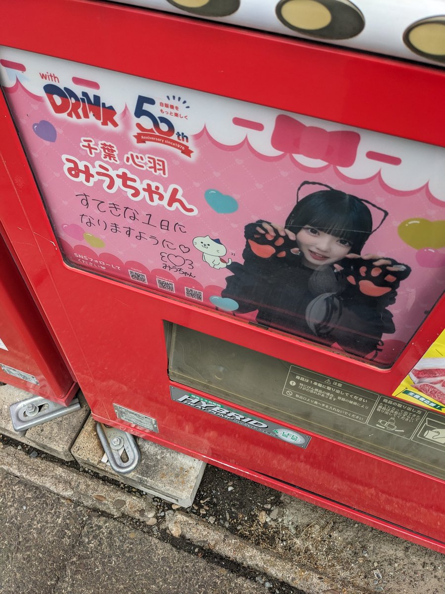 iwachanka's tweet photo. これで、インパネ全部かな？👀👀
みうちゃん、みっけ👀👀

#withDRINK
#千葉心羽
#みうちゃん https://t.co/1u0FrajYit