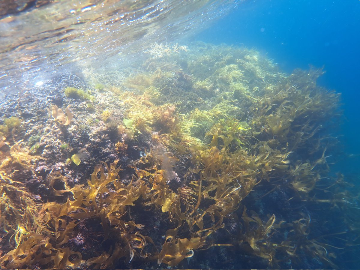 deepsea_15's tweet photo. ナイスもりもりでした https://t.co/uqcYcNjcgZ