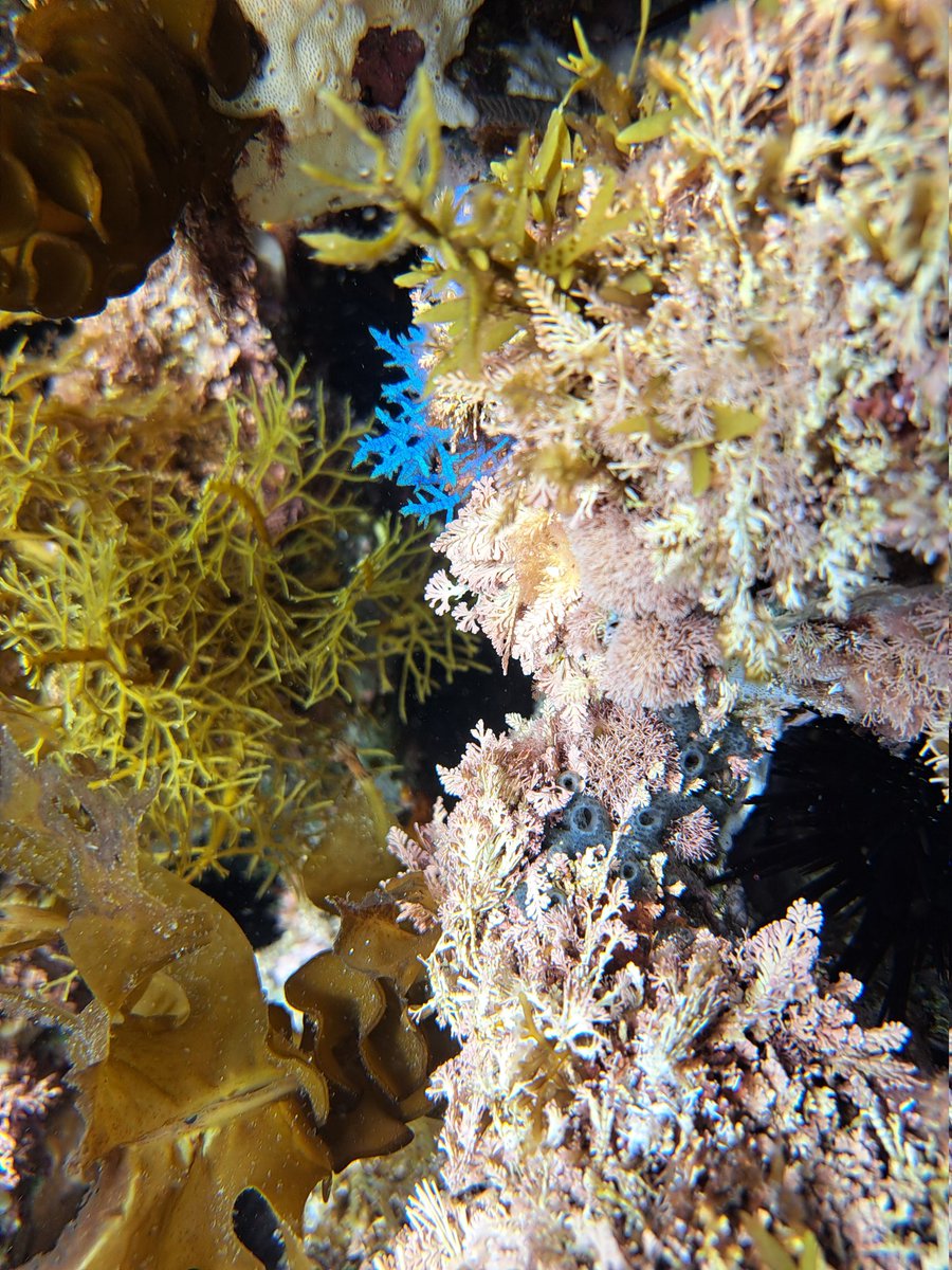 deepsea_15's tweet photo. ナイスもりもりでした https://t.co/uqcYcNjcgZ